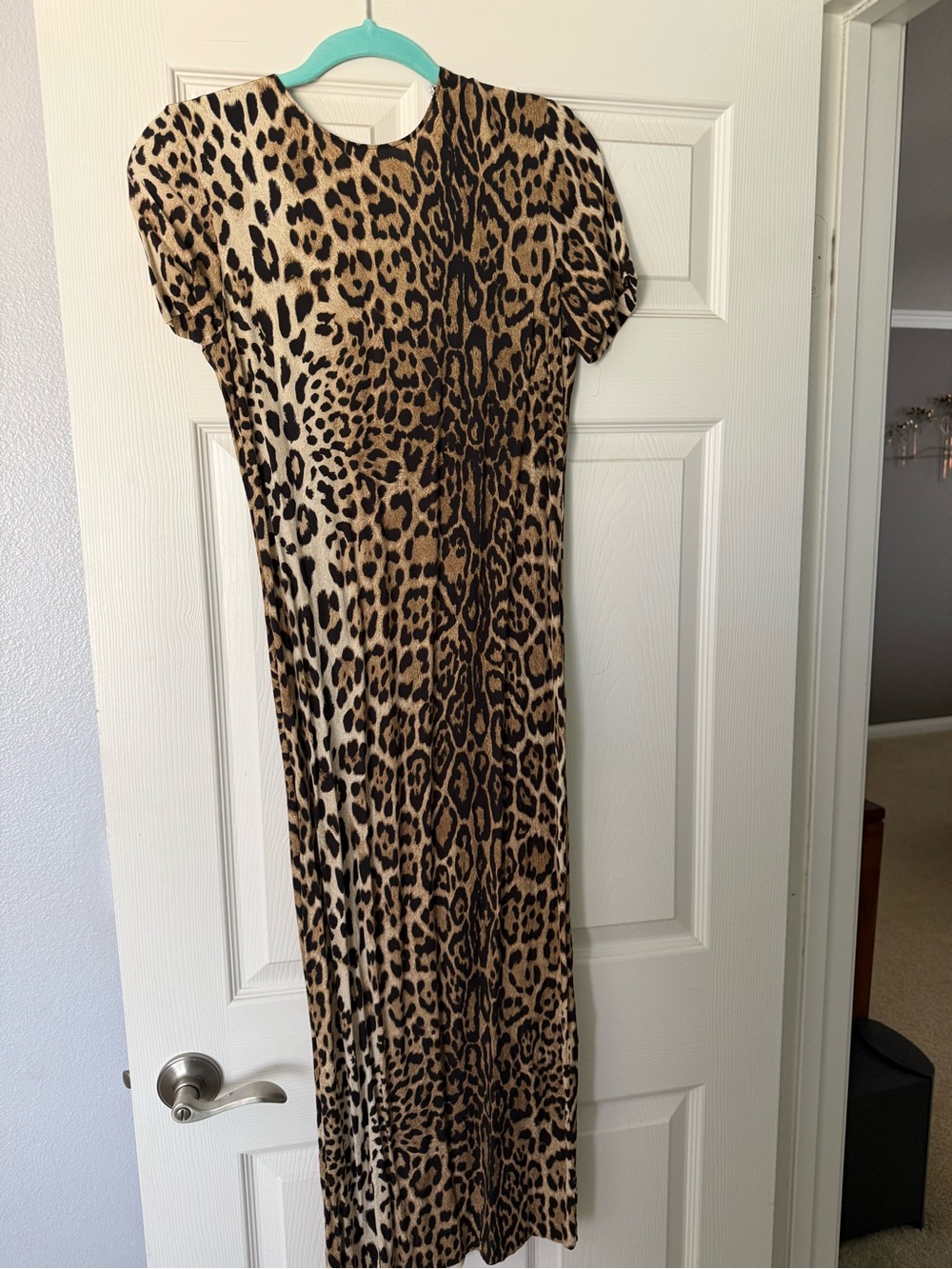 Zara Leopard Print Maxi Dress